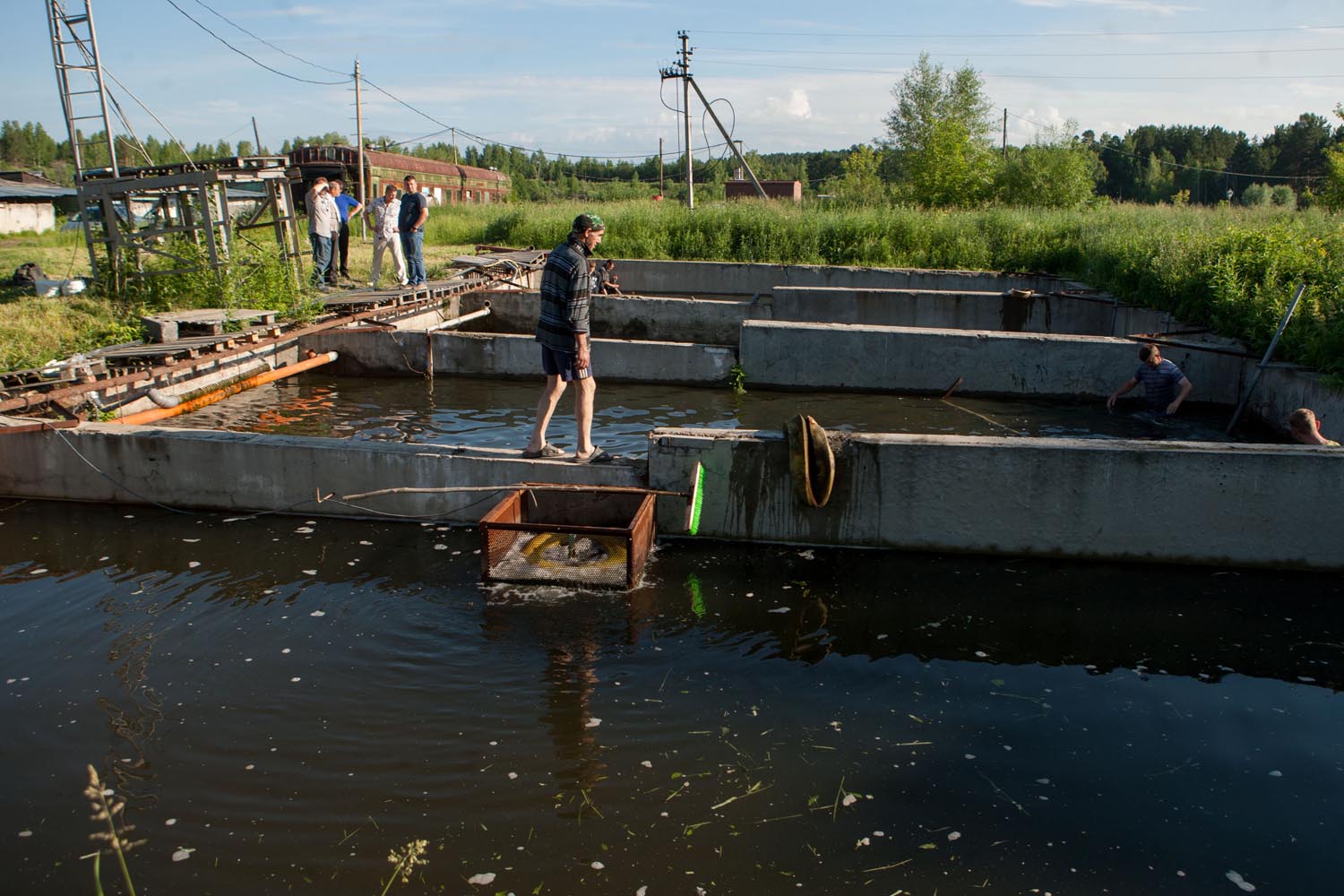 СХК помогает зарыблению реки Томь